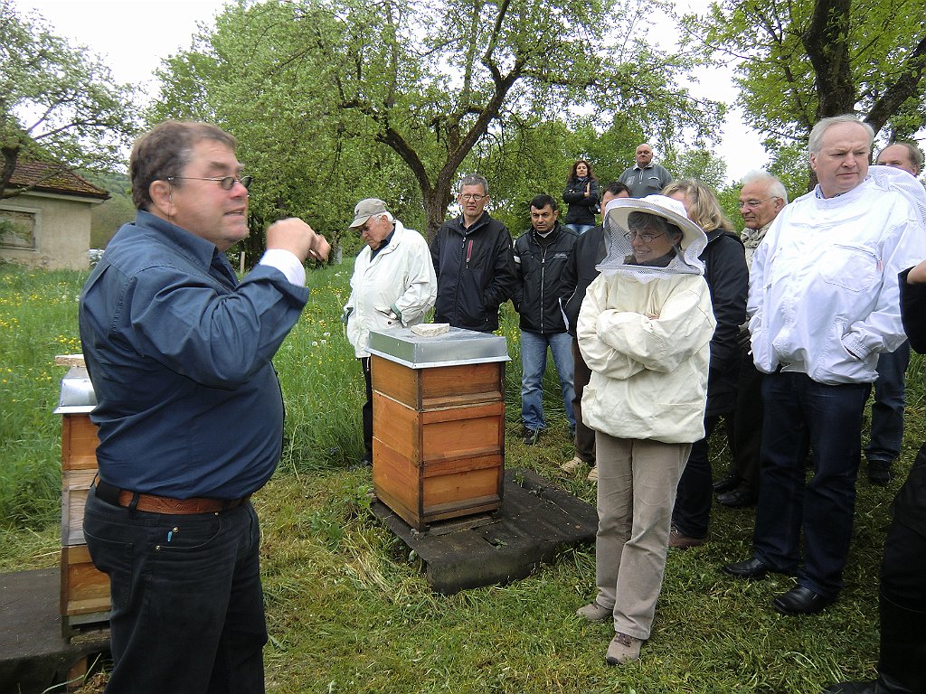 CIMG-07.JPG - Praxiskurs bei den  Bienen 